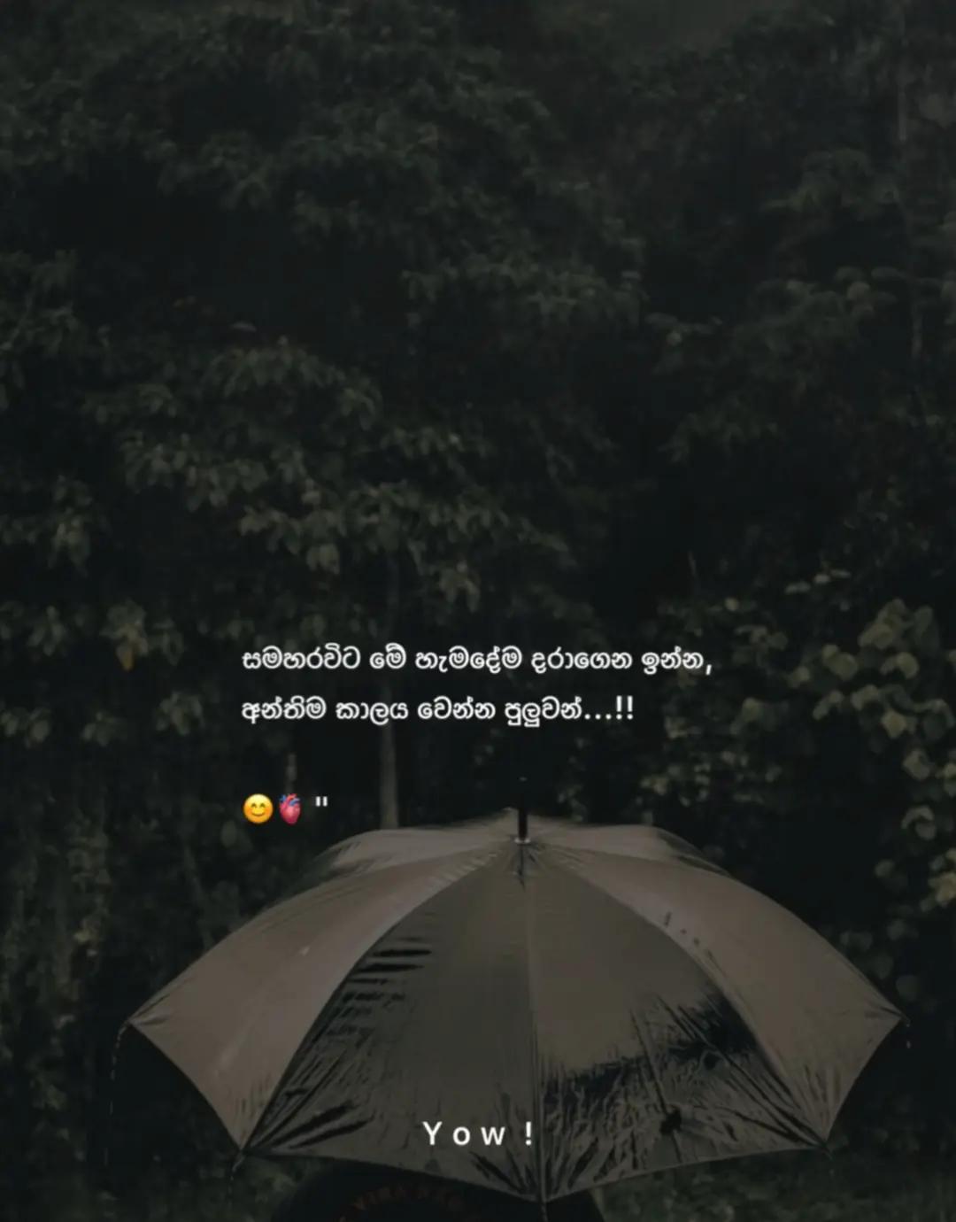 @🌺🌻🦋හිම දේව්දුව🌻🌼🦋