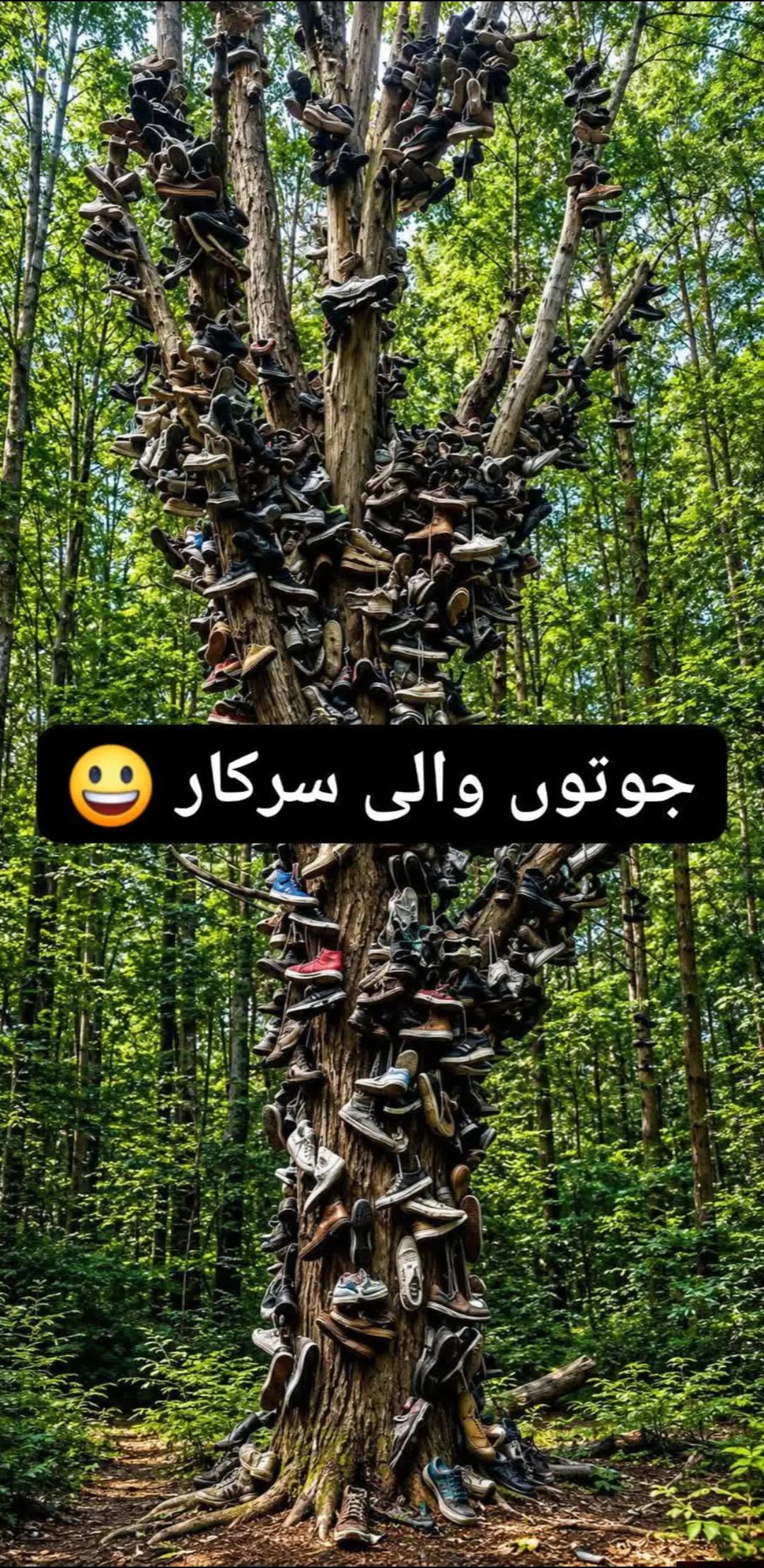 @ذادی (منڈی آلہ) 🥂🖤