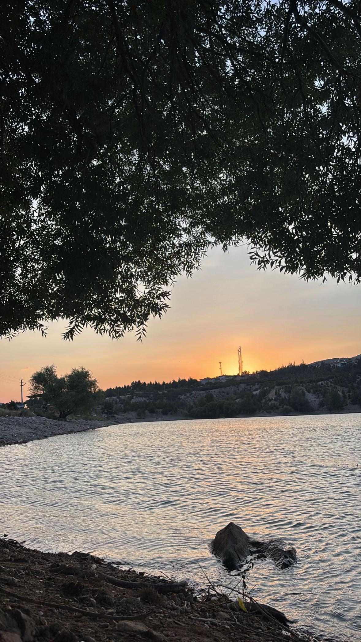 @nazli_sude0