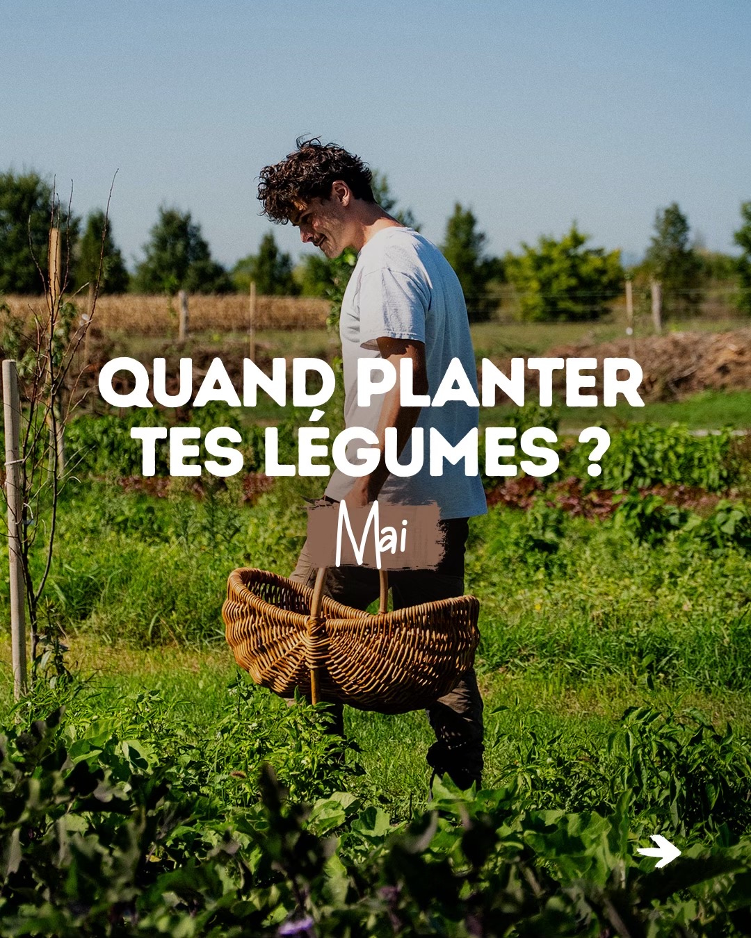 @Goran Le Permaculteur