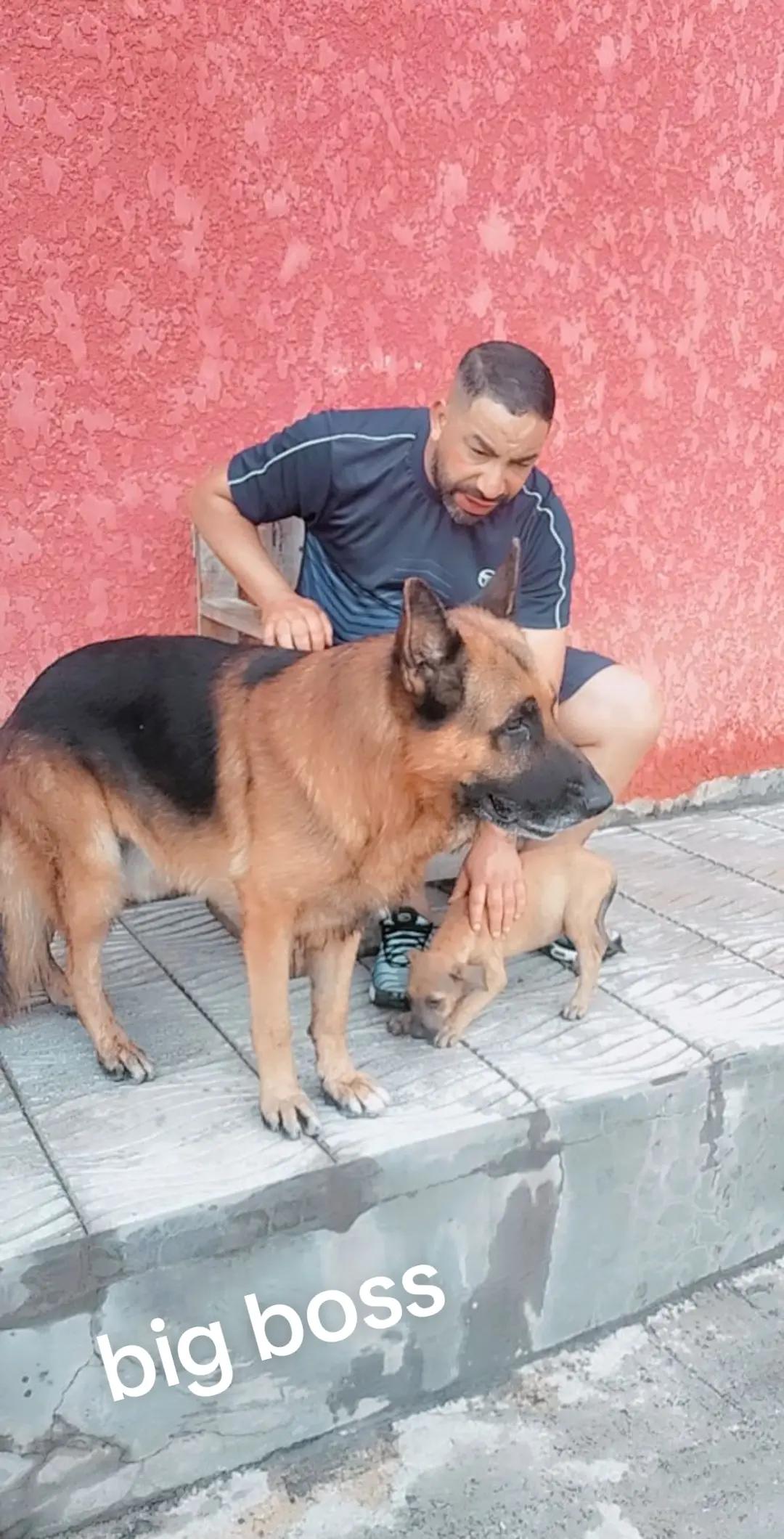@big boss