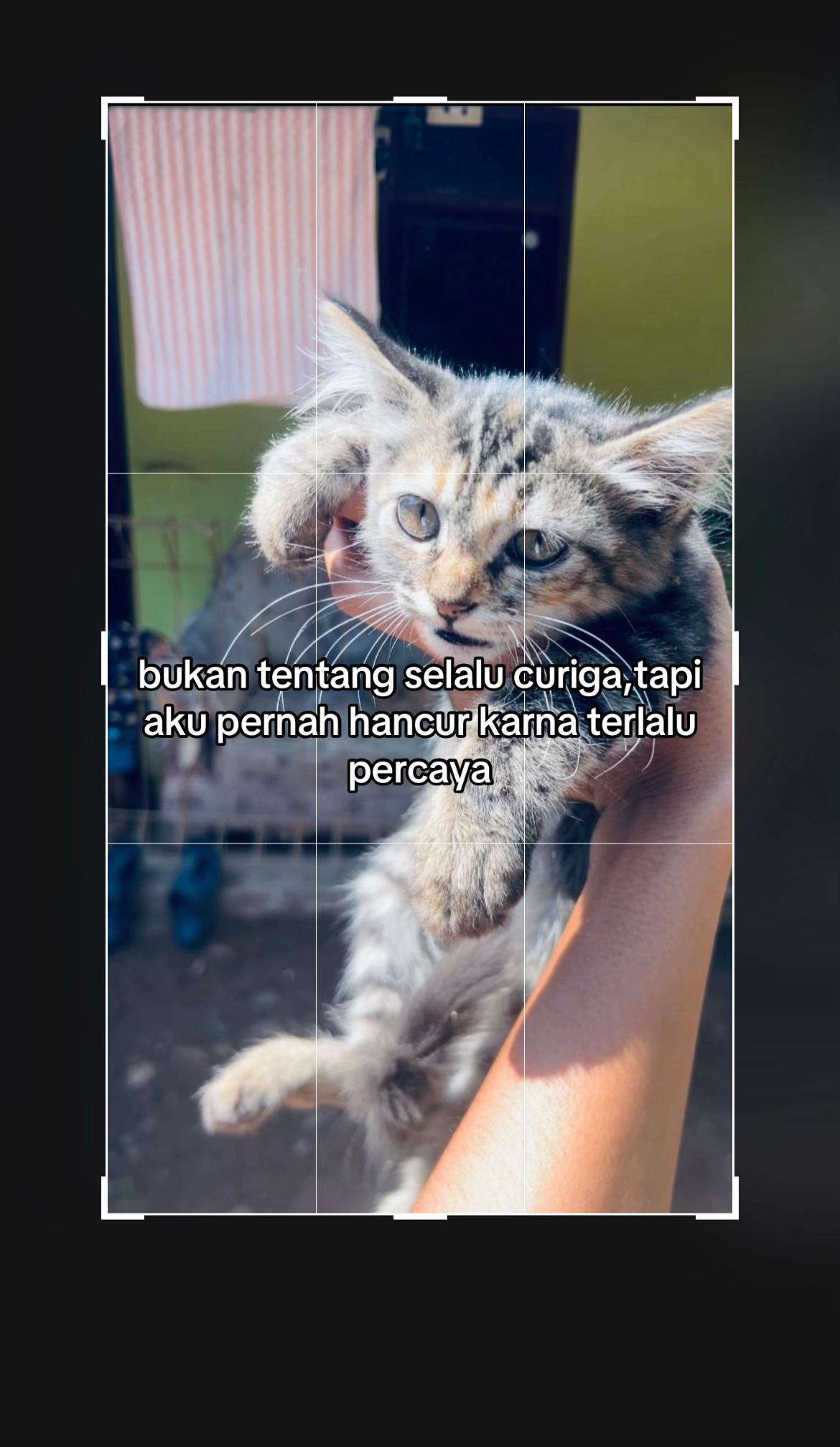 @Abcdfeyy_73