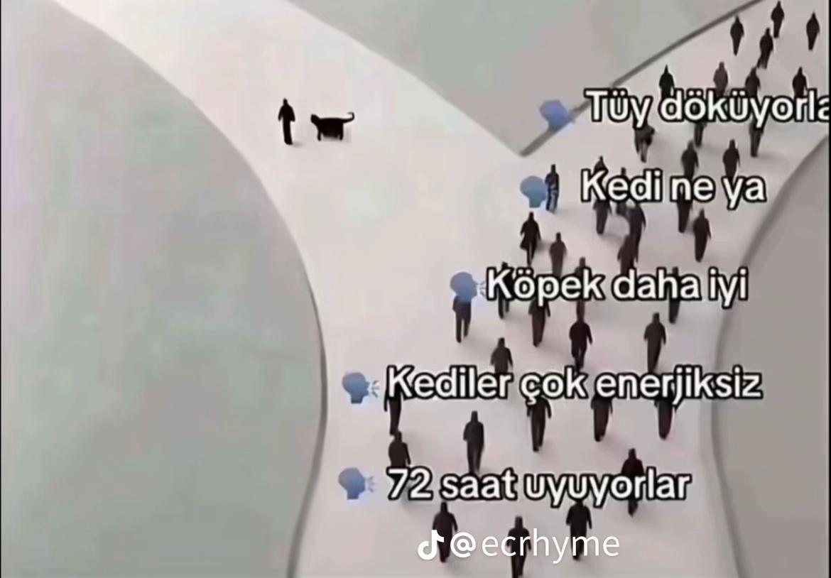 @Seda Nur aydınlı