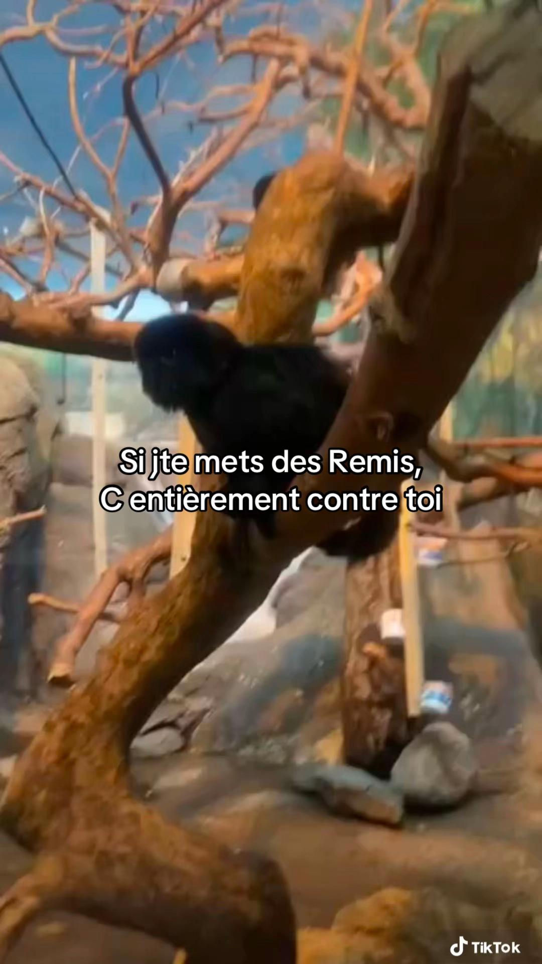 @𝑼𝒔𝒆𝒓.𝑬'🐥