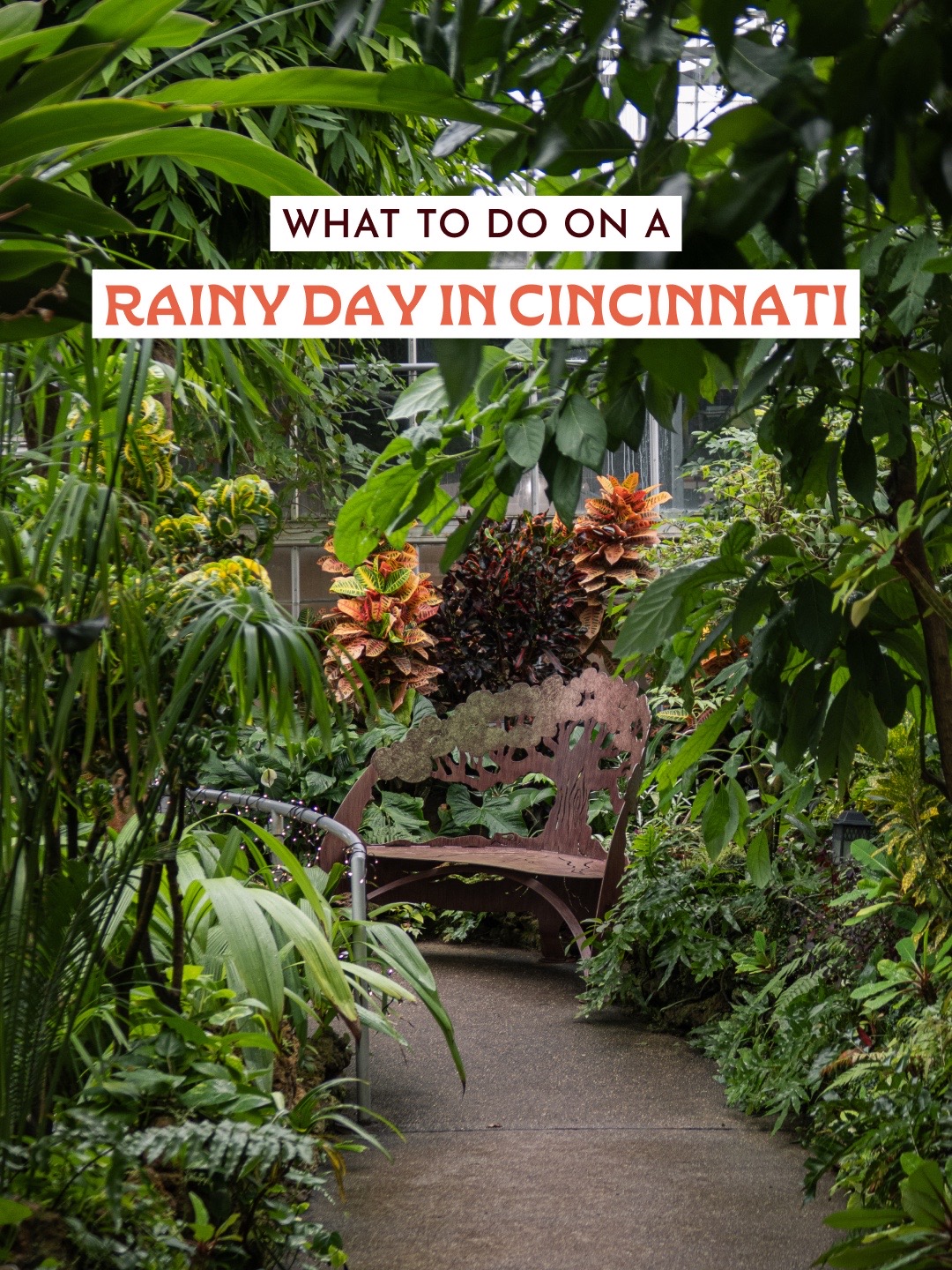 @Cincy Experience