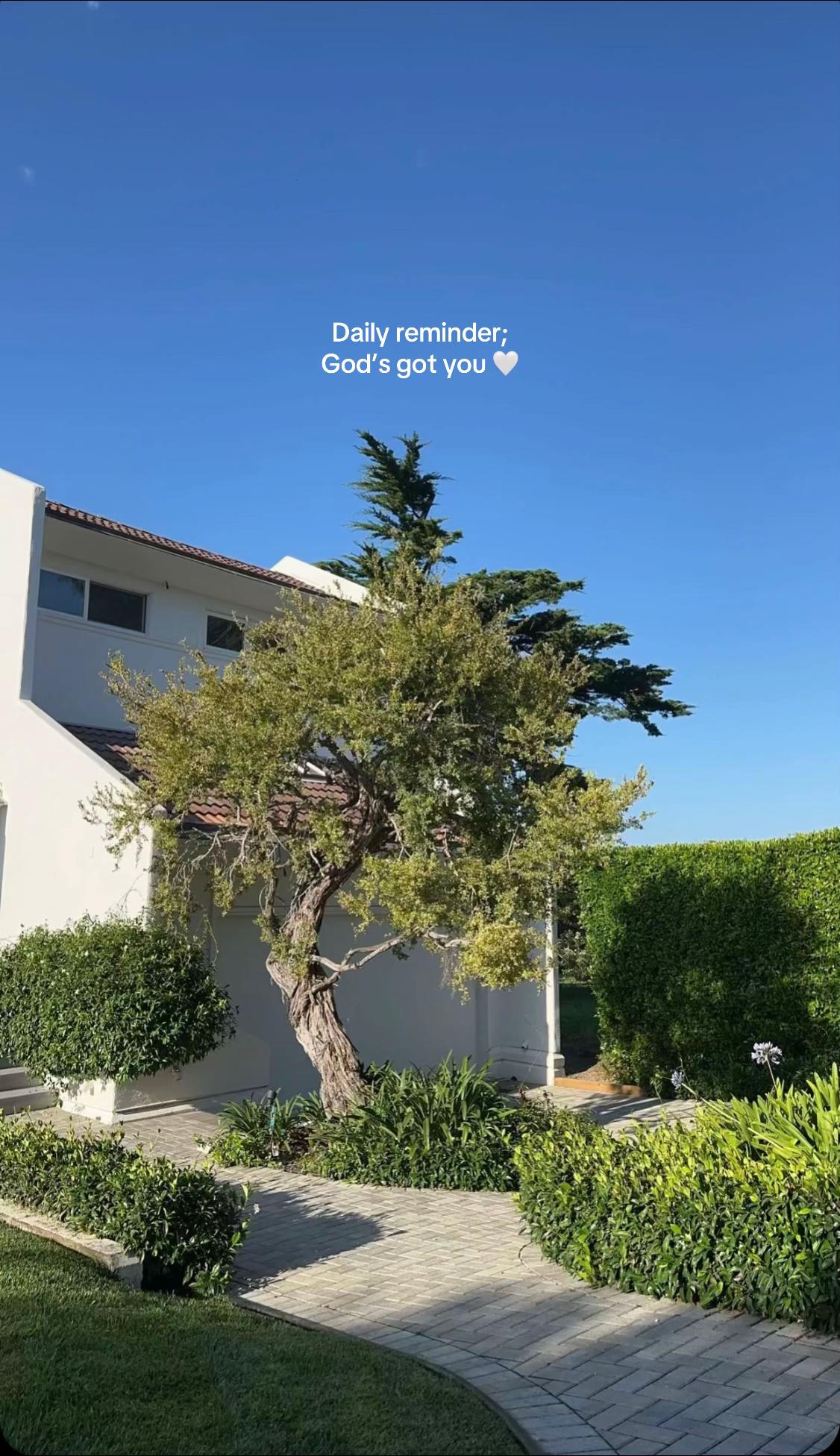 @🦋