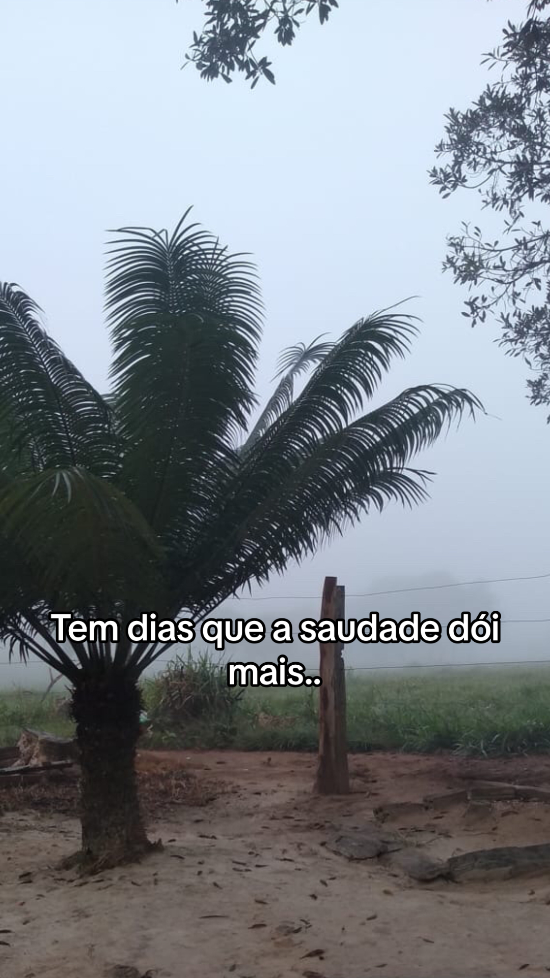 @Janaina Neves
