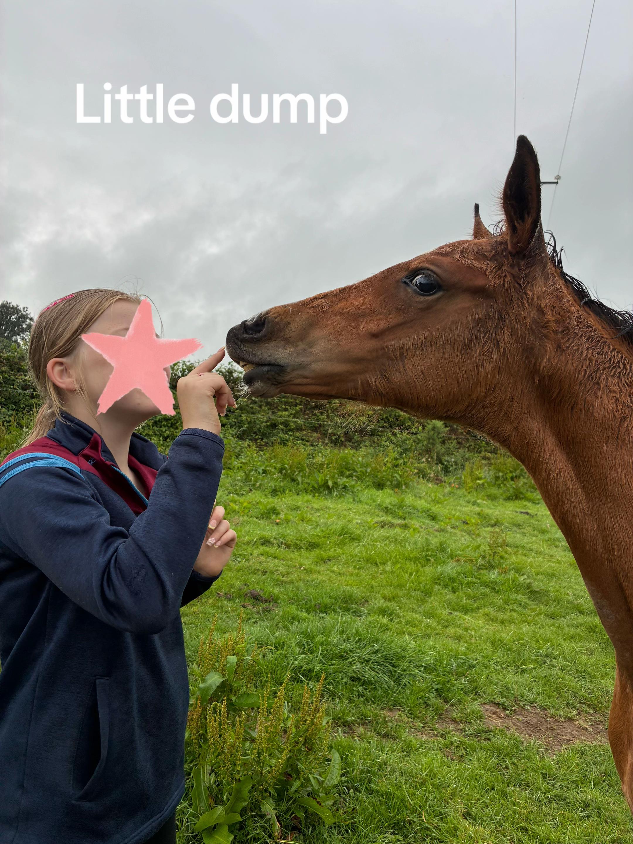 @Zara’spam🇮🇪🐴