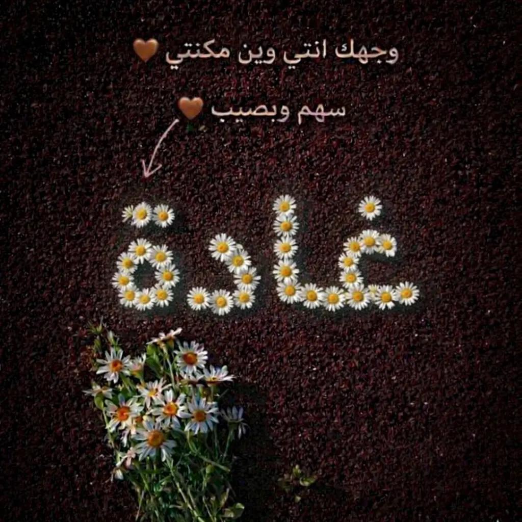 @Ghada Alomari