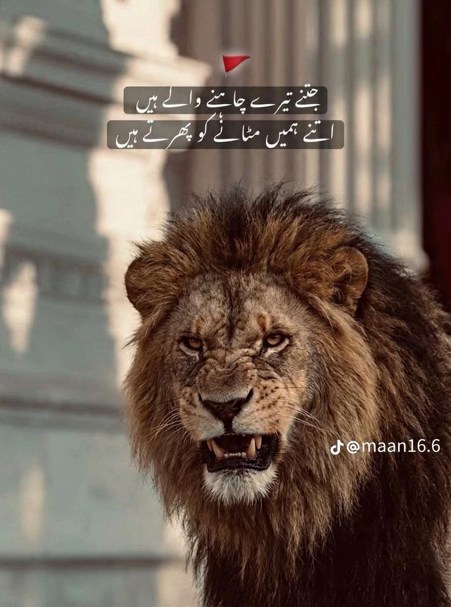 @🇵🇰✨ ShAhiD KhAnD 👑🇸🇦