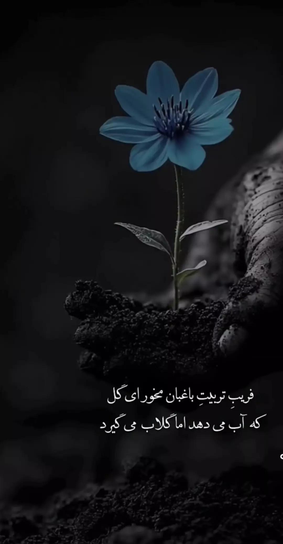 @Ali Sarabi