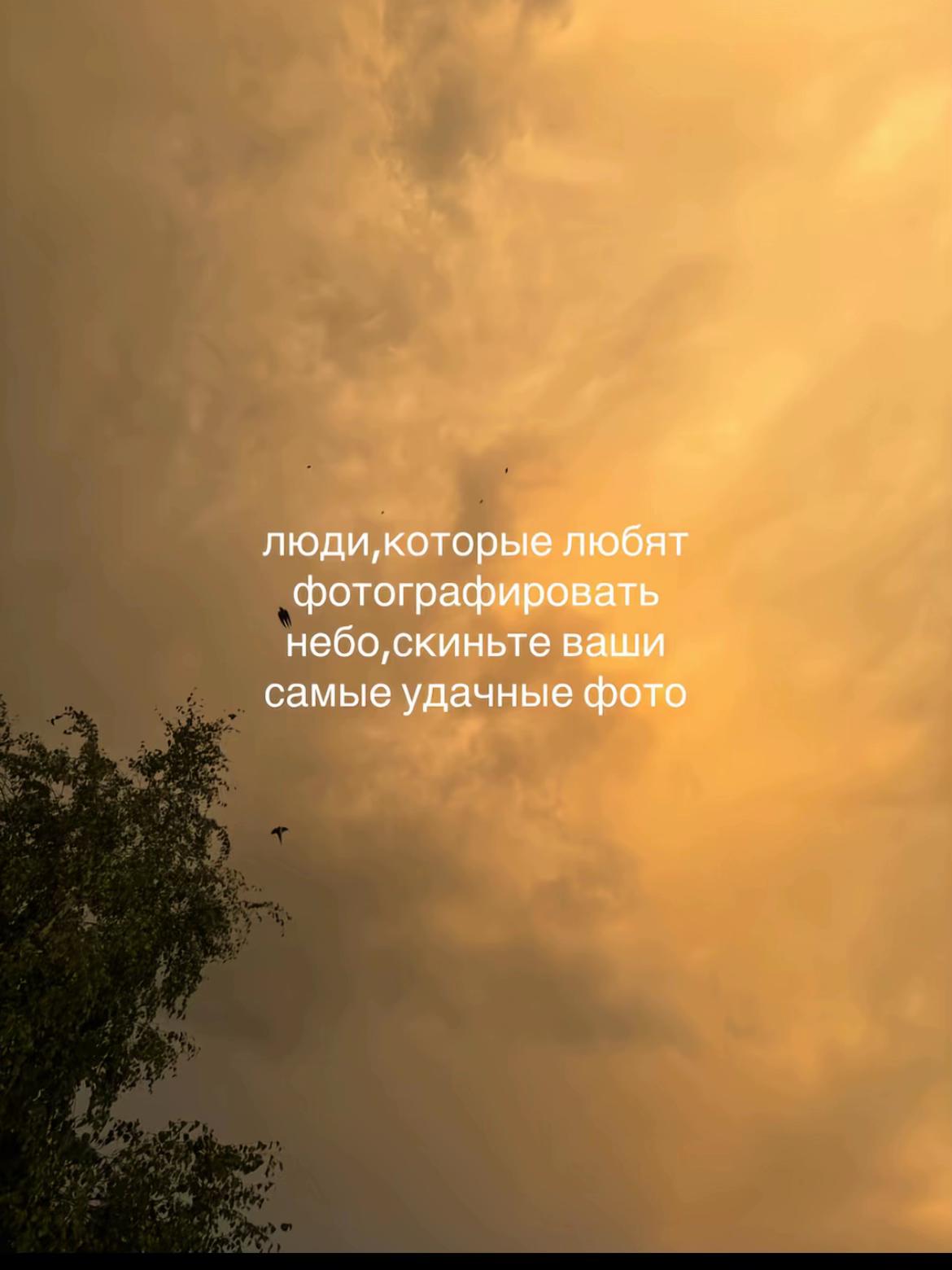 @🇺🇦1_ЗСУ_2🇺🇦