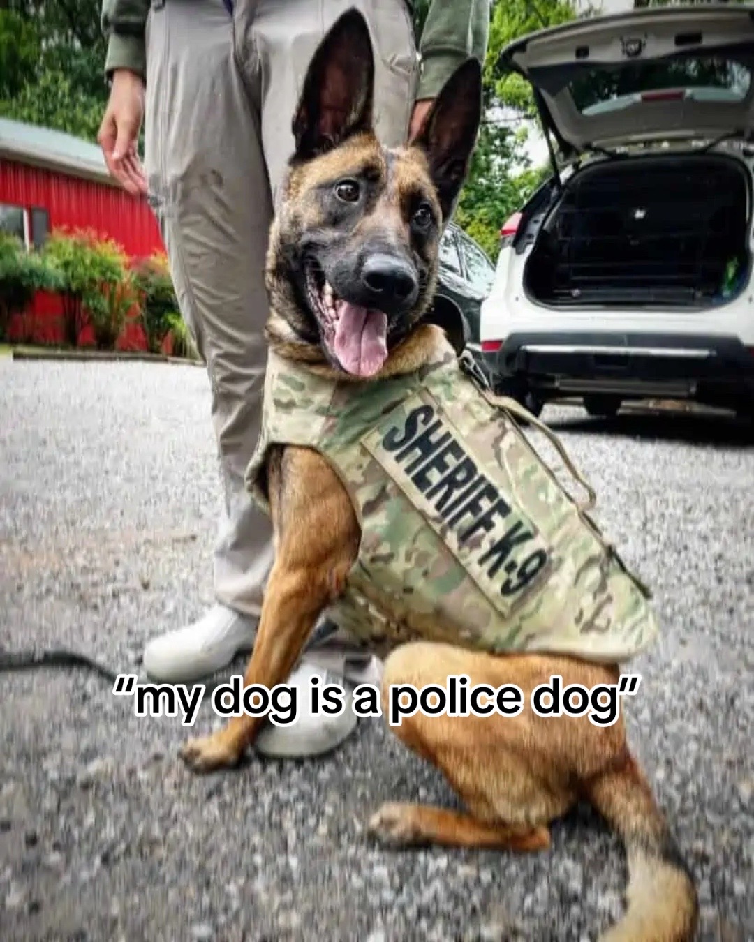 @kai_TheDogMother 🐶🐾