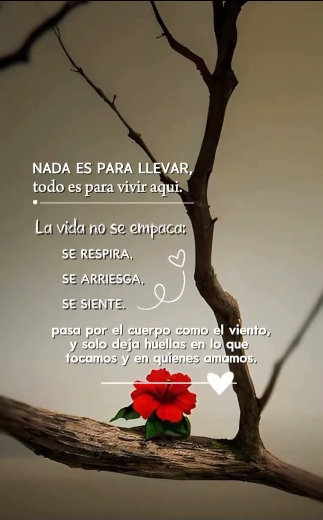 @Yubi Jimenez