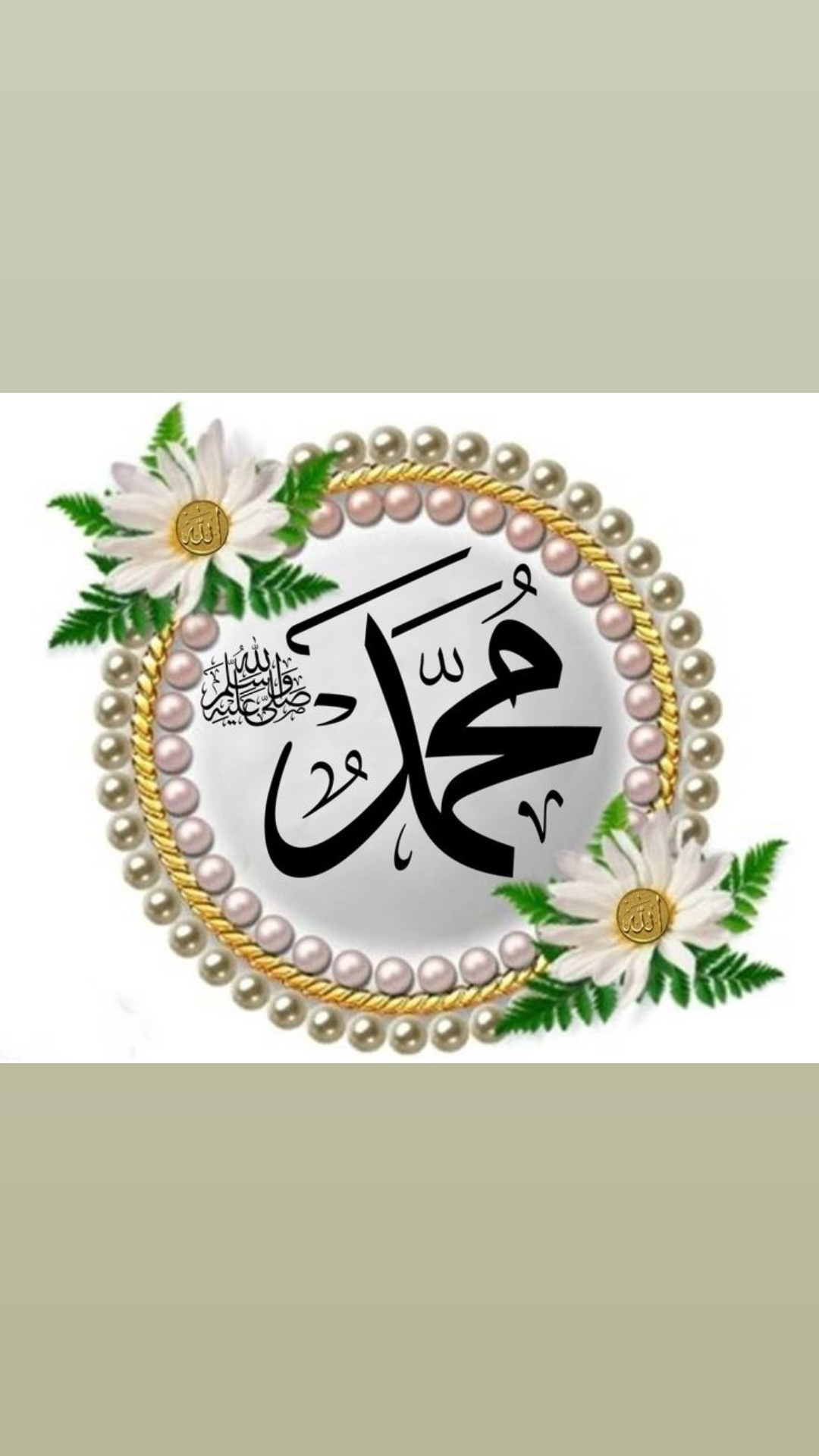 @hassan