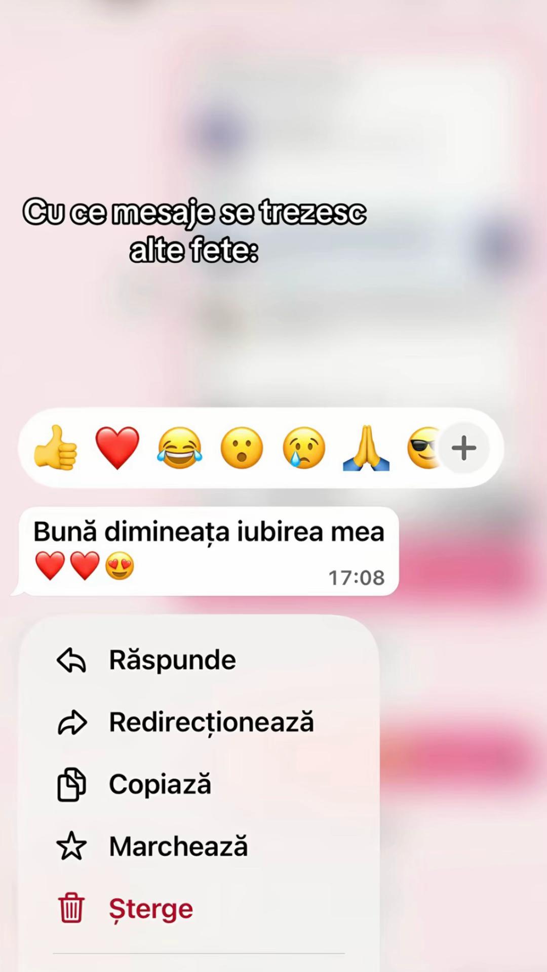 @Lauricii🦄