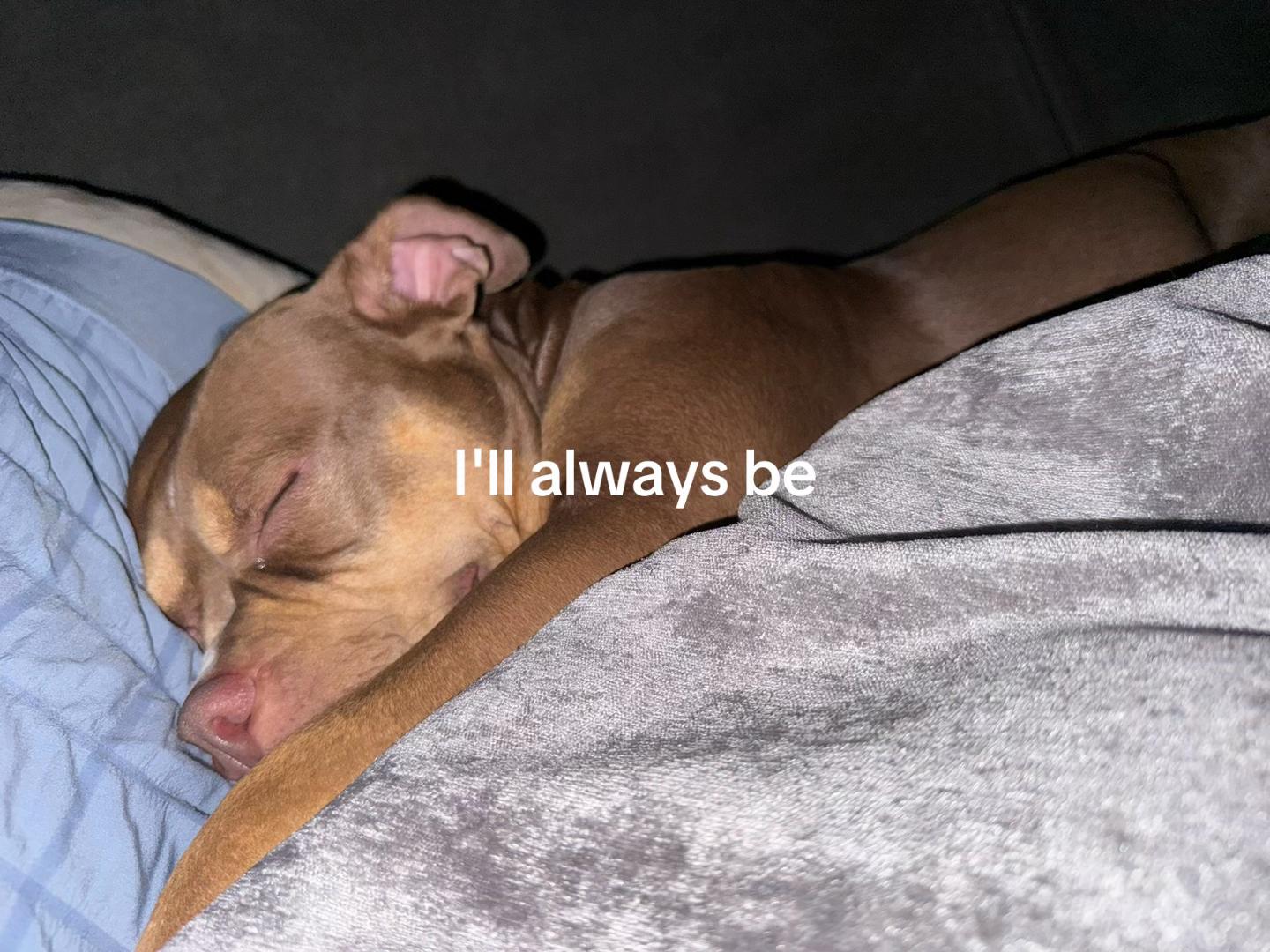 @Emotionless
