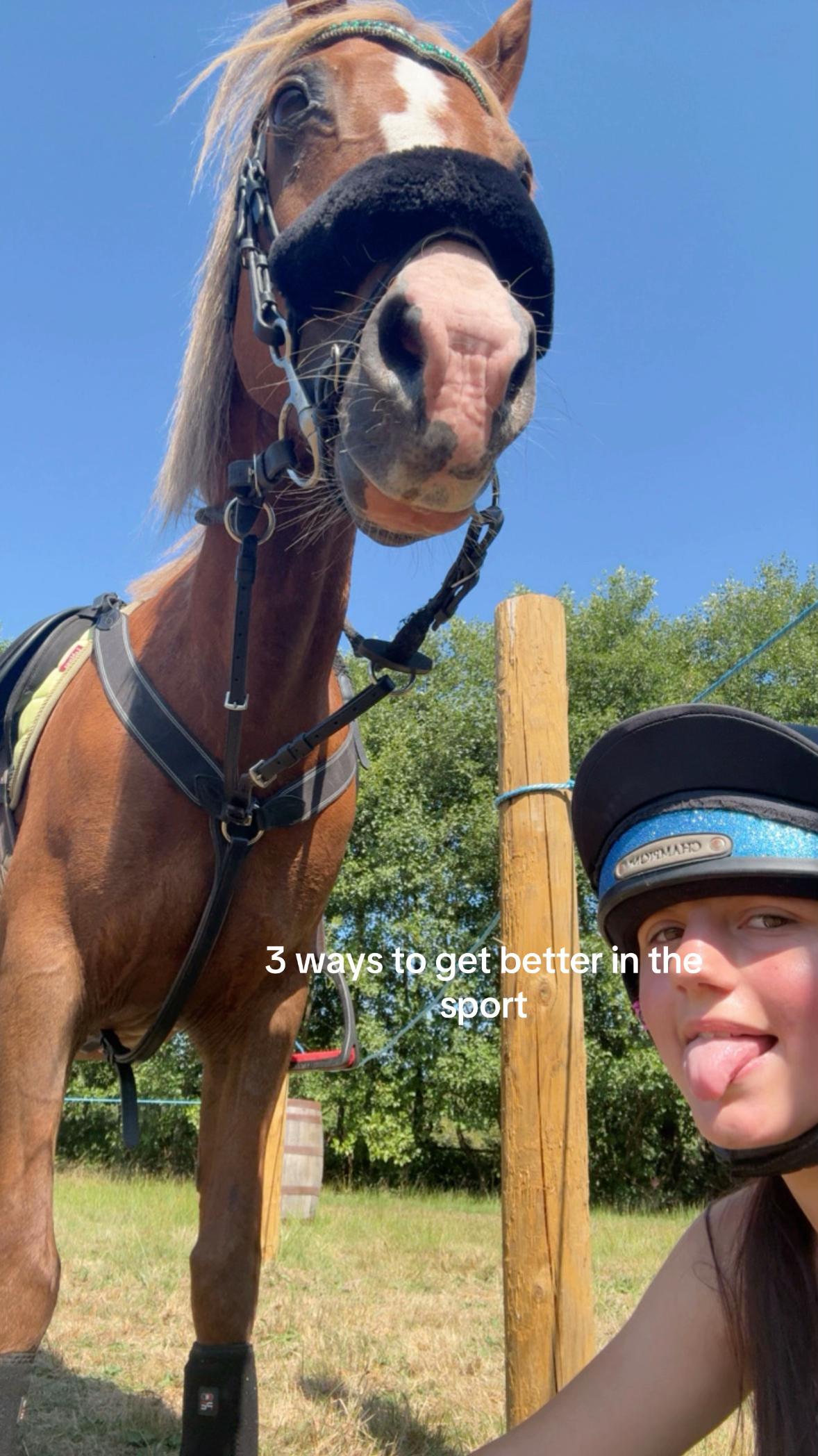 @shelbyshorseaccount