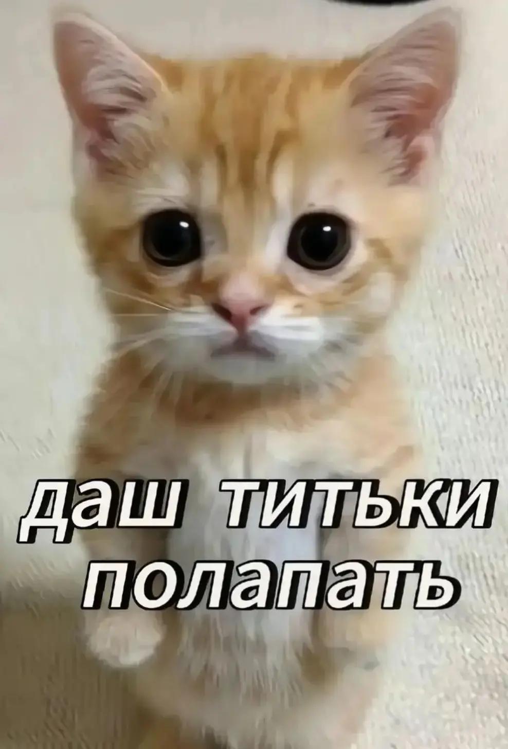 @TT_FUNTIK
