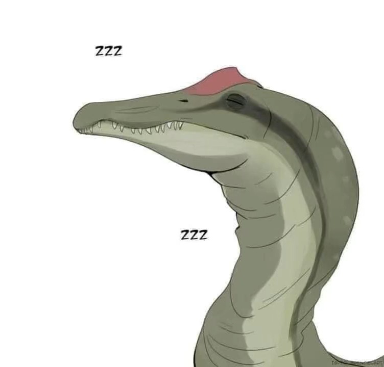 @Feathered Boi 3000
