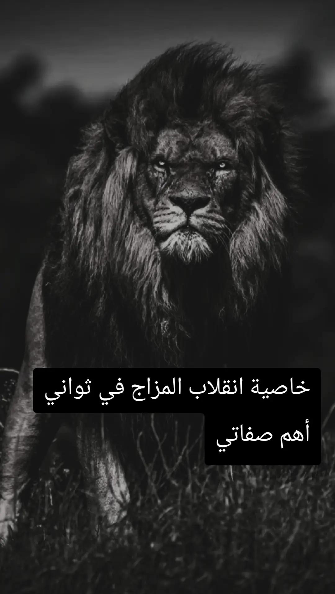 @🦁 scarface 🦁