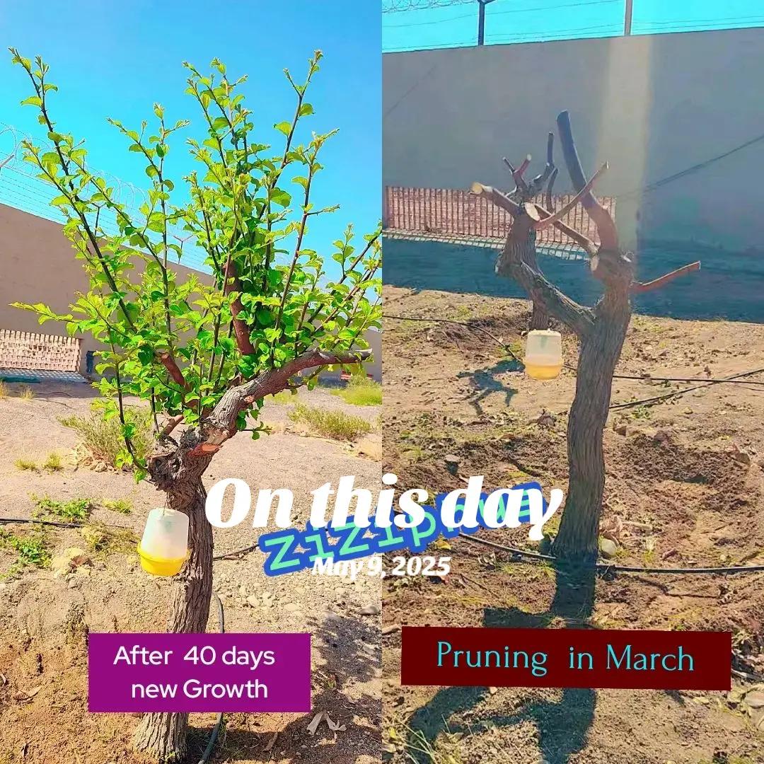 @🇦🇪@UAEFRESH🇦🇪