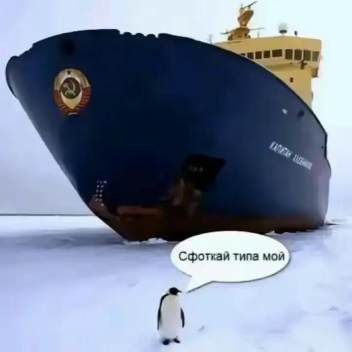 @Wha1e