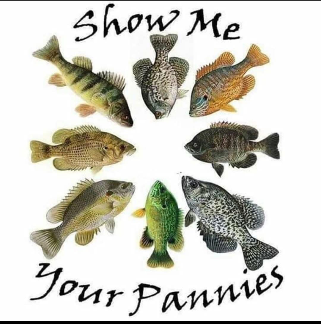 @STUCKINTHETREEFISHING