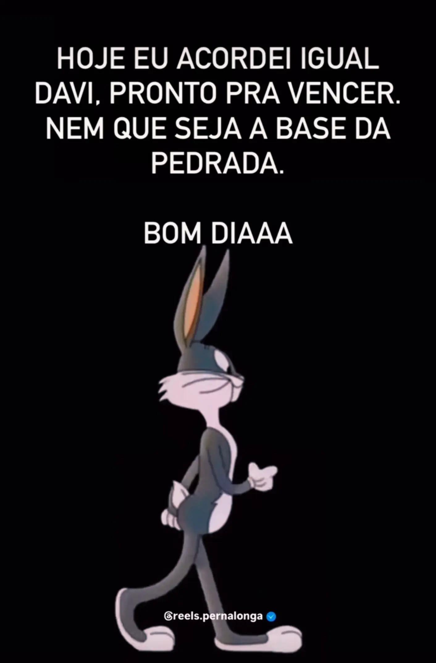 @LÉO COELHO BLUMENAU SC