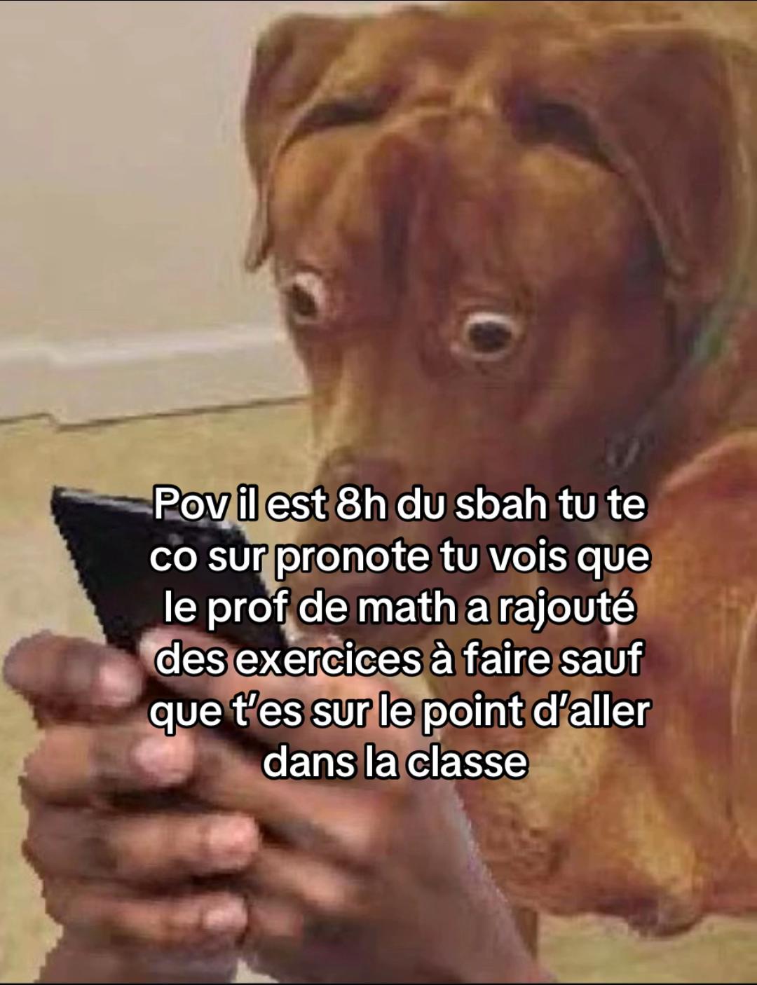 @sofiane6zz0