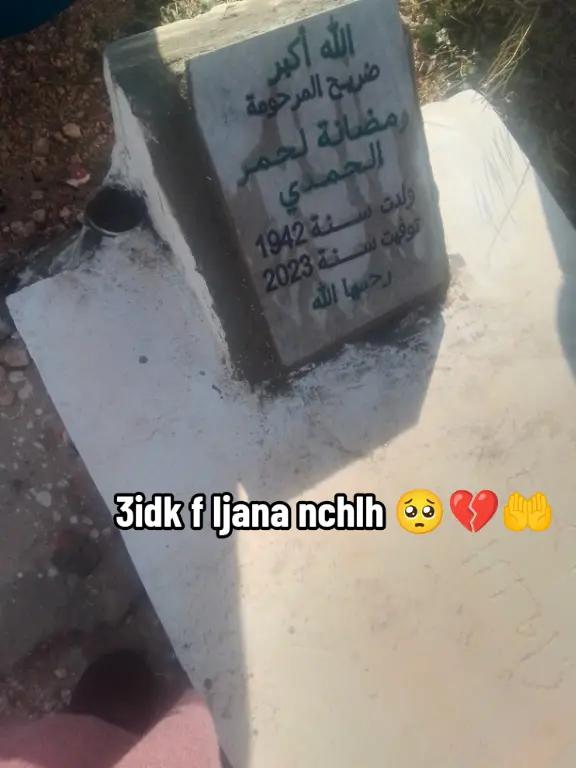 @yasminhamdi