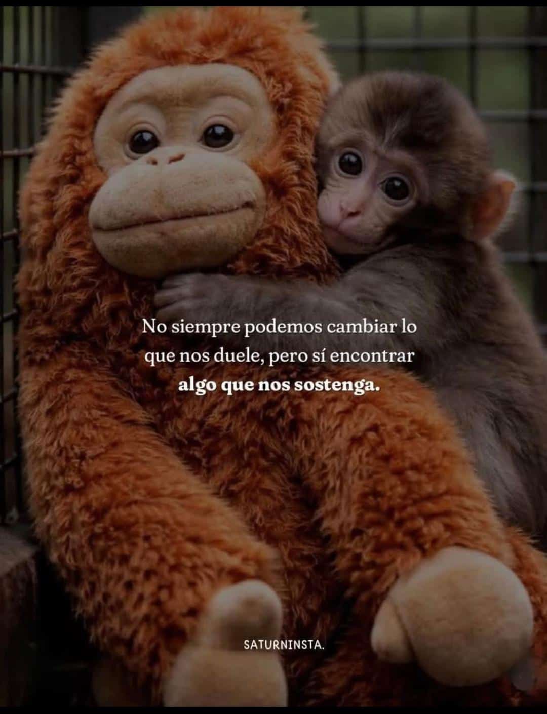 @fabiRecomienda