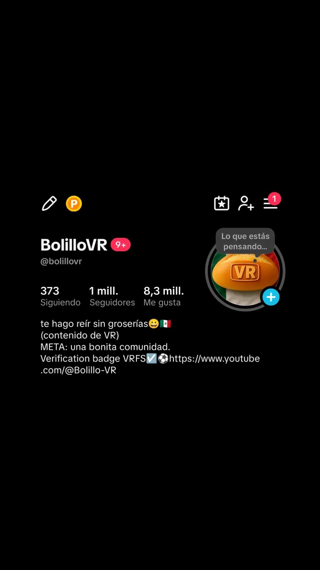 @BolilloVR