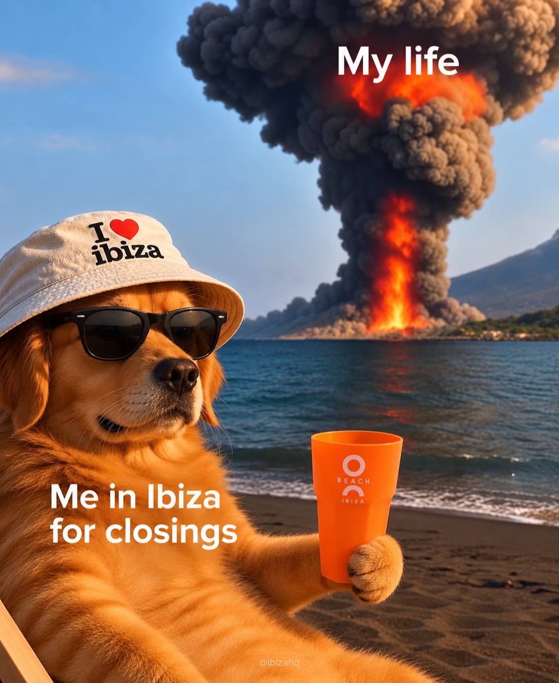 @ibizahq