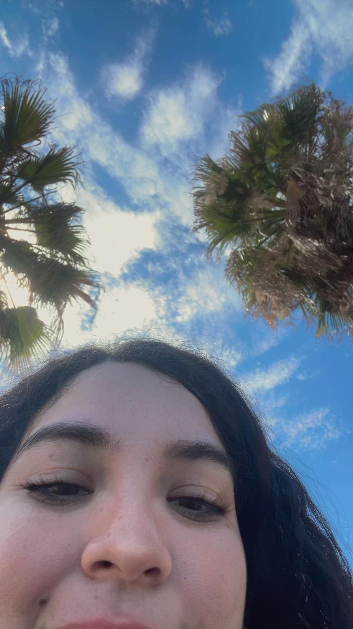 @XFBB 🌽