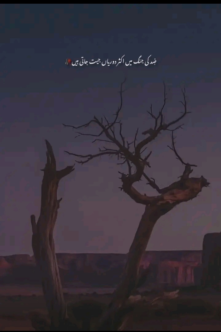 @🥀معصوم لڑکی🥀