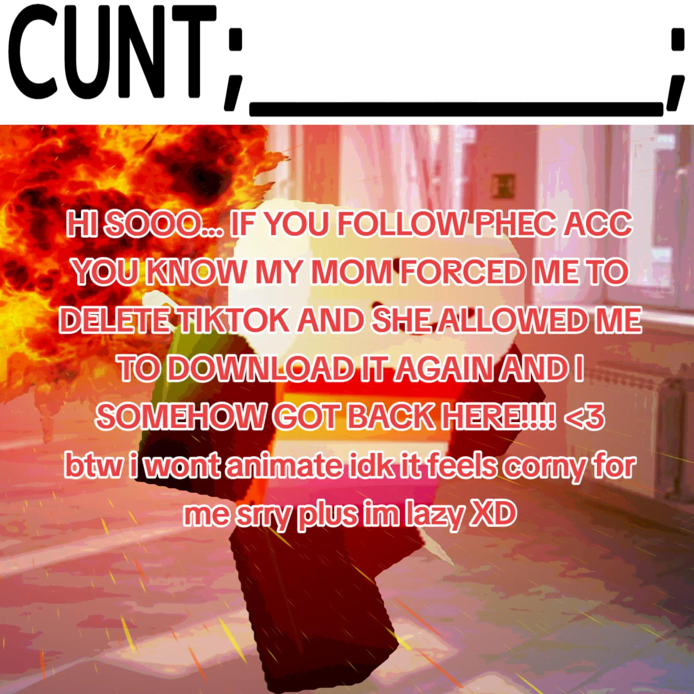 @sunflower/#1 cat Tony fan