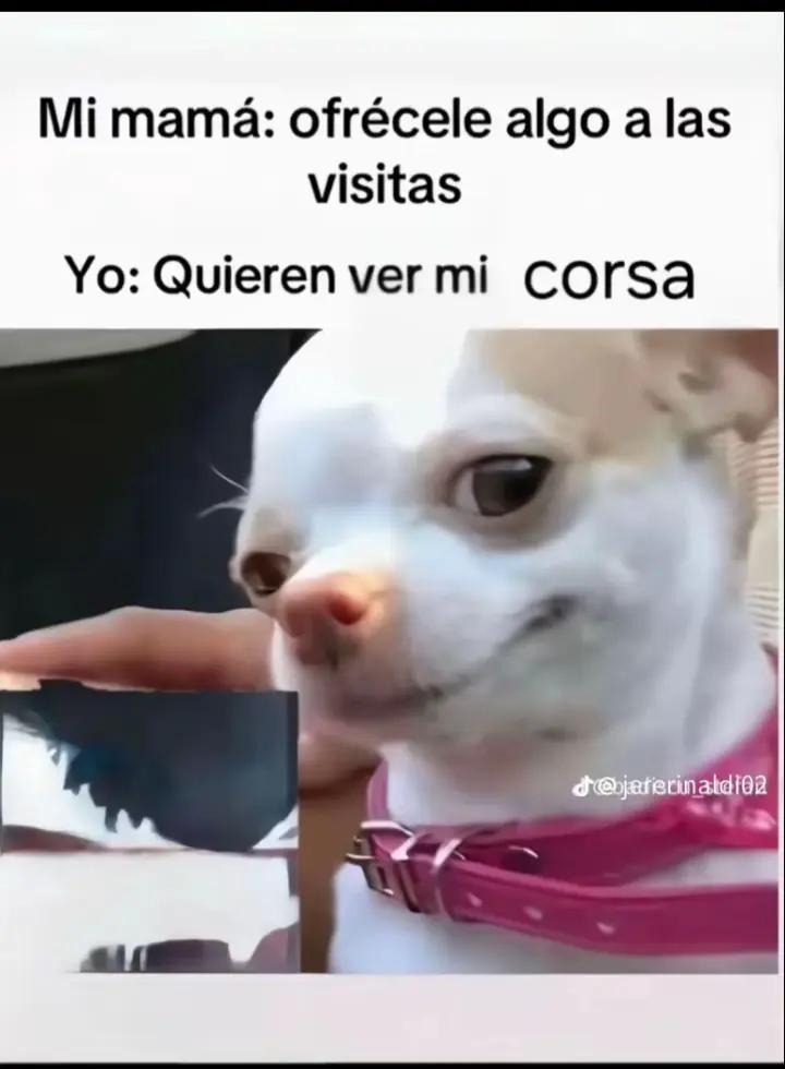 @zoe__67/