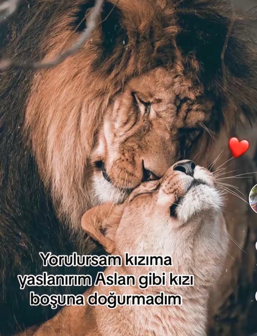 @Bir Hemşire Anne