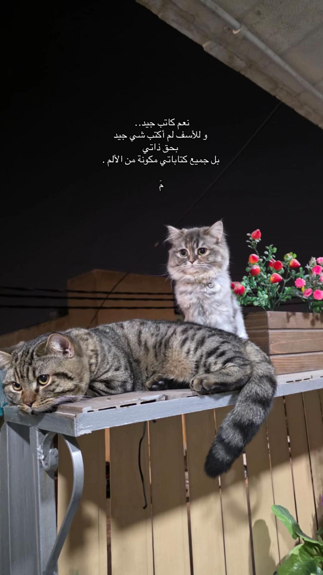 @مَ