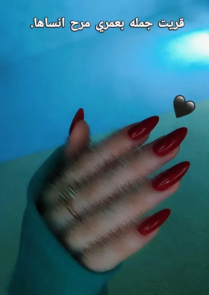 @𓆩𝑹𓆪