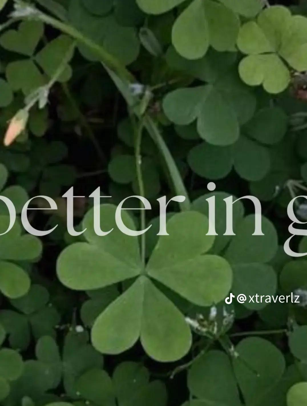 @🍀🧩Clover🧩🍀