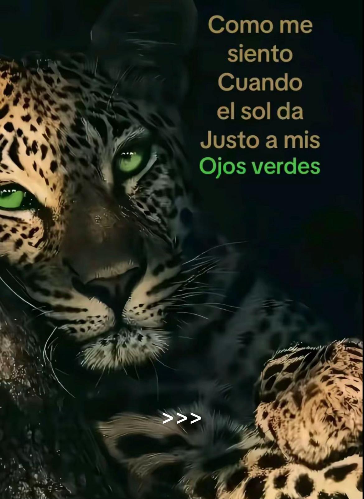 @Xlaura.bs