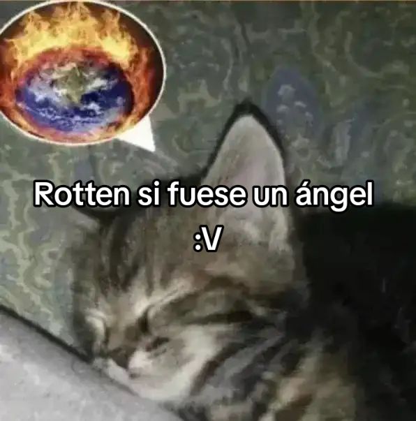 @Pelotosino
