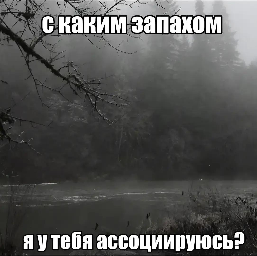 @Мята(!)