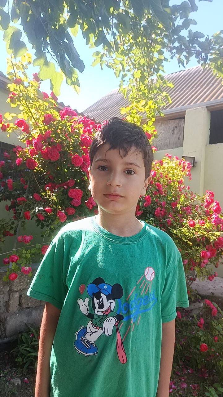 @Allahsukur&ensp;Farzalıyev