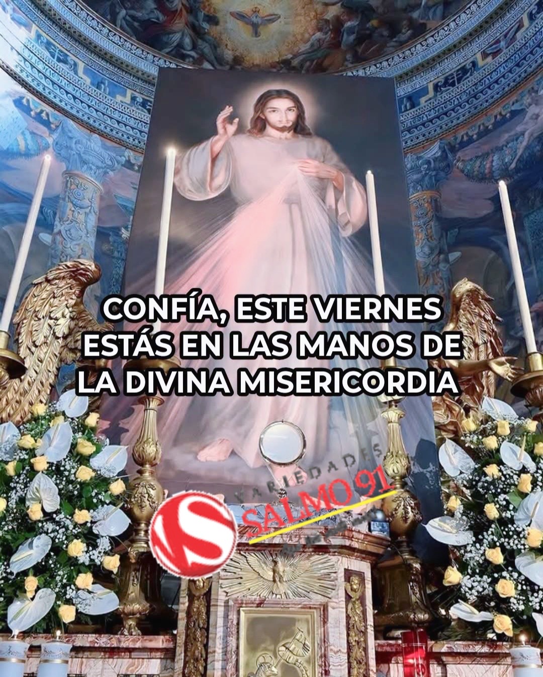 @8luisplaza8