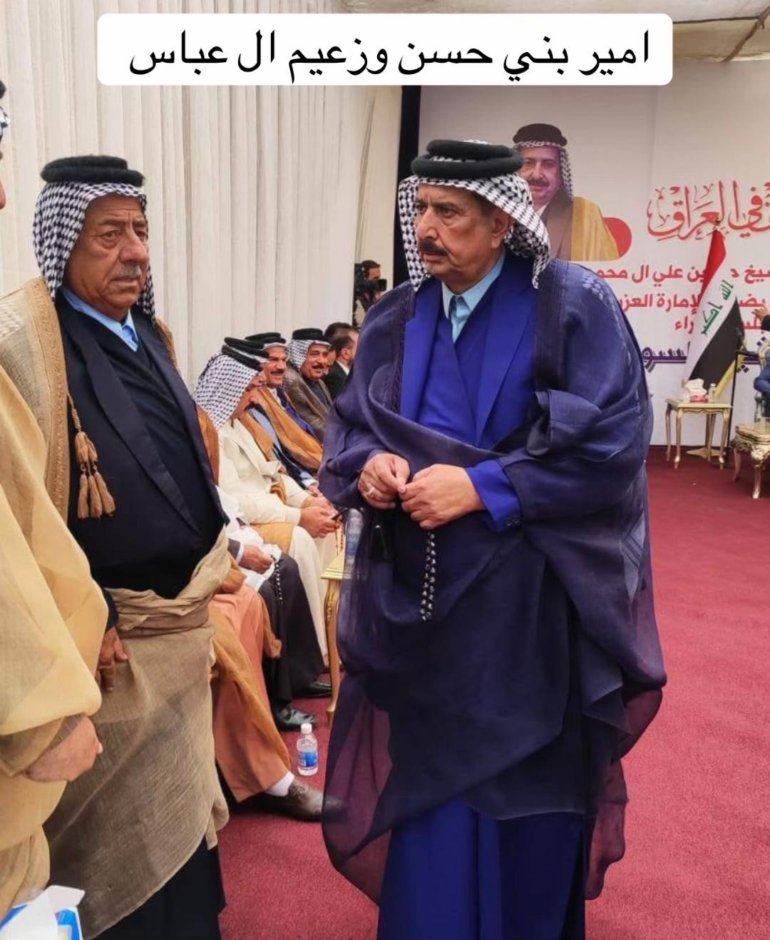 @محمد عبدالأميرالعباسي الحسناوي