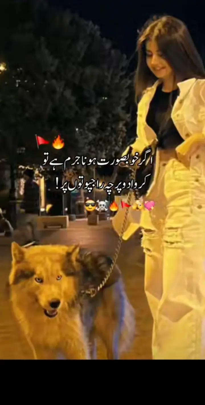 @TM love skoon e qalb