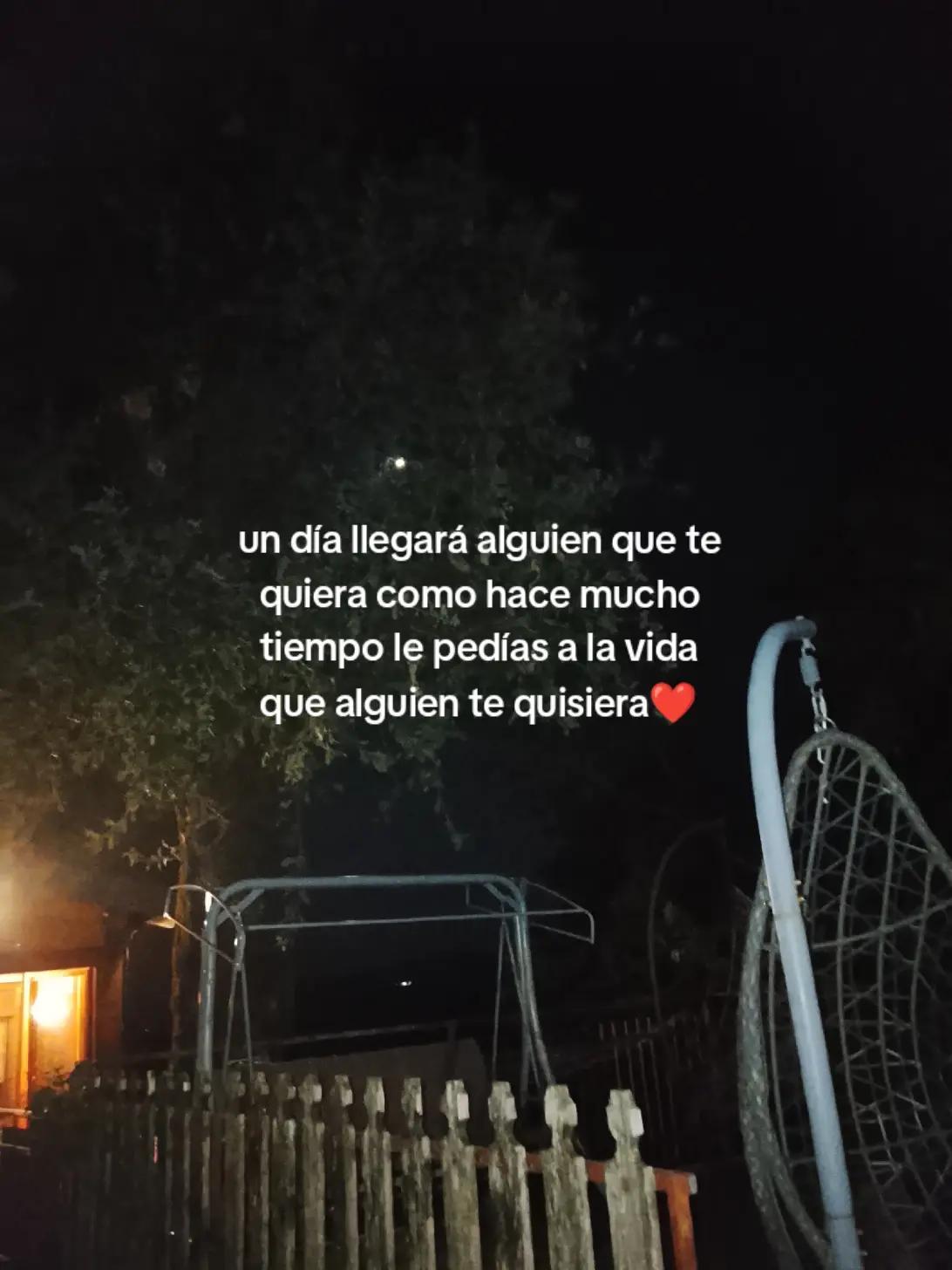 @Alba Mazzariello